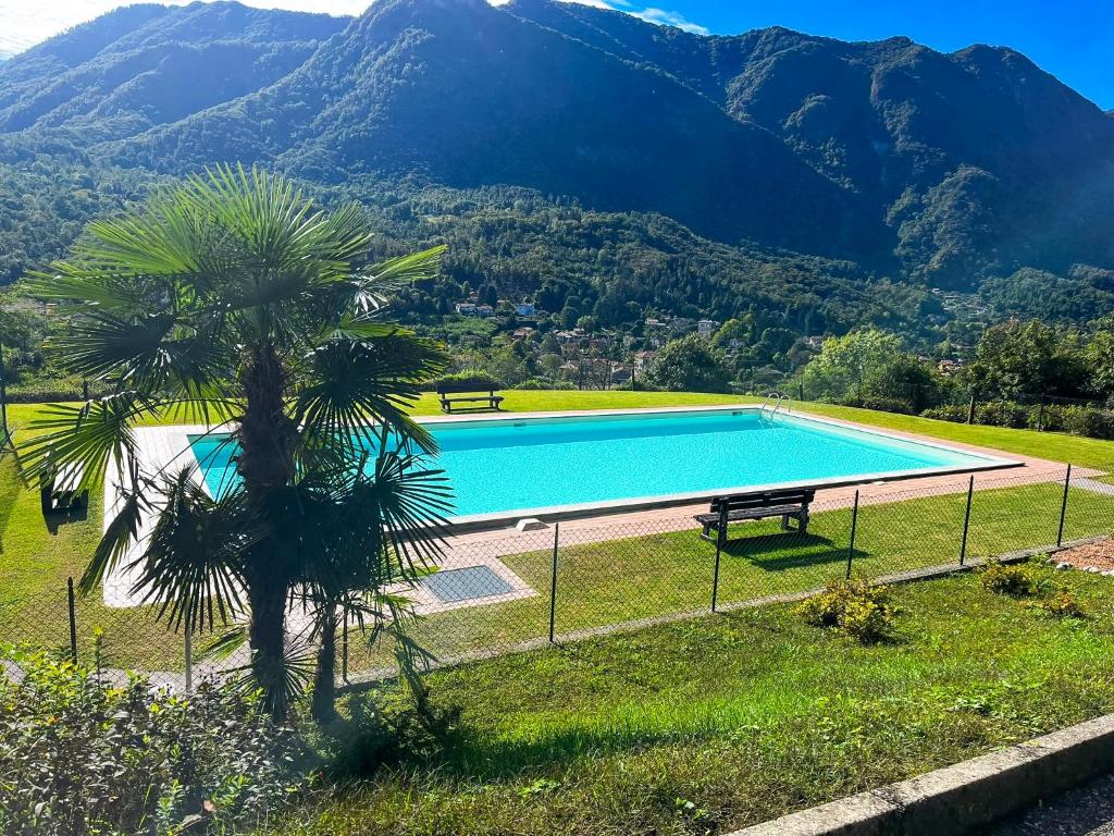 a swimming pool with a palm tree in front of a mountain at Residenza La Rocca in Castello Valsolda