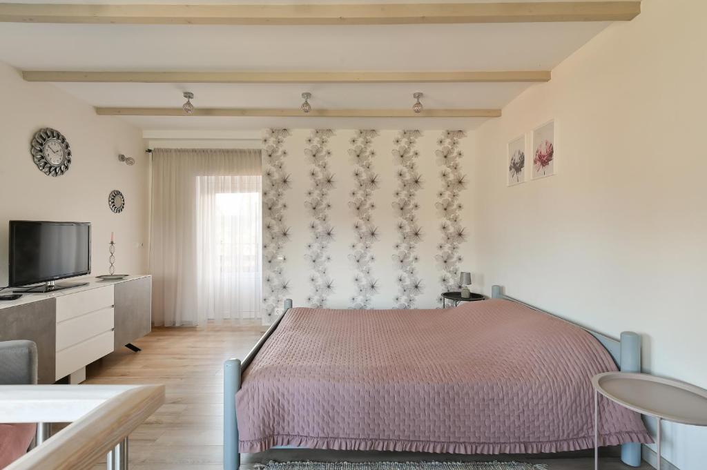 TV a/nebo společenská místnost v ubytování Guest house Kajaki-Ragaciems