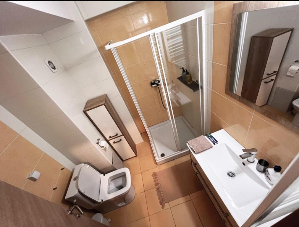 a bathroom with a toilet and a sink and a shower at Mountain view in Brzeće