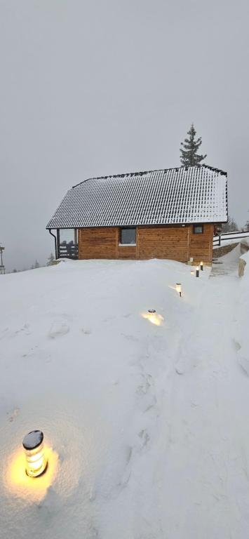 Brvnara “Vidik Breg” зимой