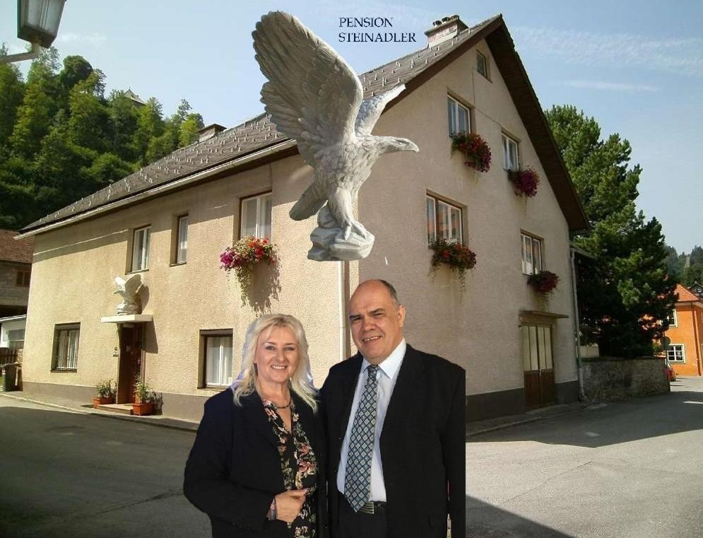 Hosté ubytování Steinadler apartman Dog-friendly, quiet, garden house with private parking and beautiful views - Kertes apartman egy szoba áráért