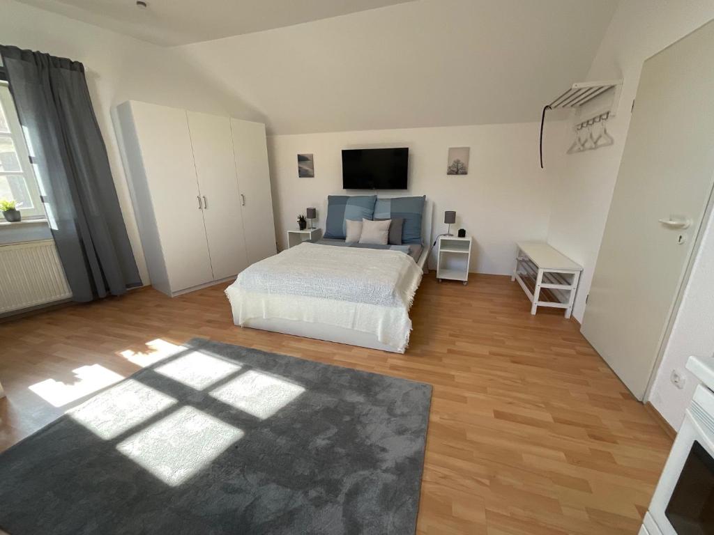 a bedroom with a bed and a television in it at Gemütliche 1-Zimmer-Wohnung in Pfungstadt-Eschollbrücken in Pfungstadt