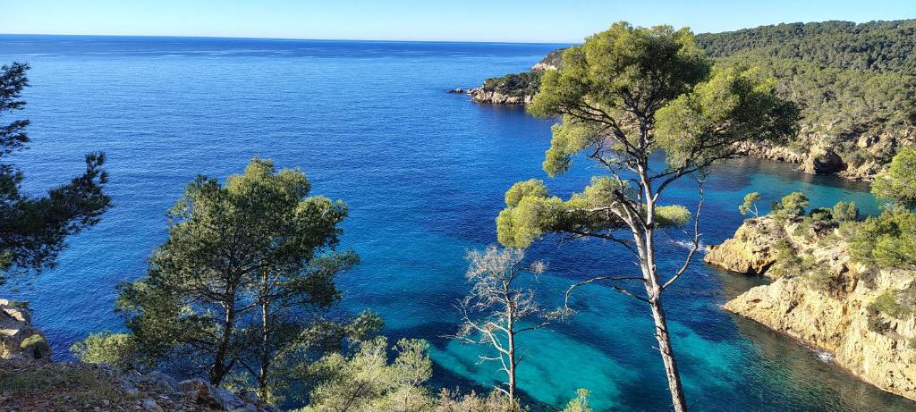 Φυσικό τοπίο κοντά σε αυτό το διαμέρισμα