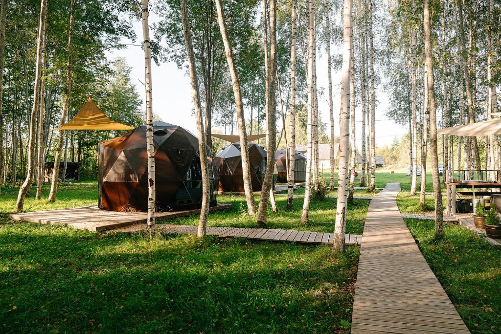two tents in a forest with a wooden path at LES Glamping in Jõemetsa