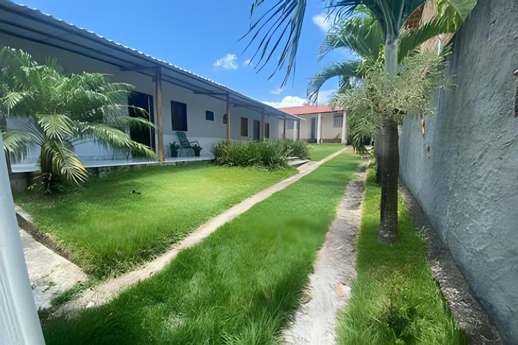 Casa ilha de Itaparica Aratuba 3 في Aratuba Beach: نخلة في ساحة بجانب مبنى