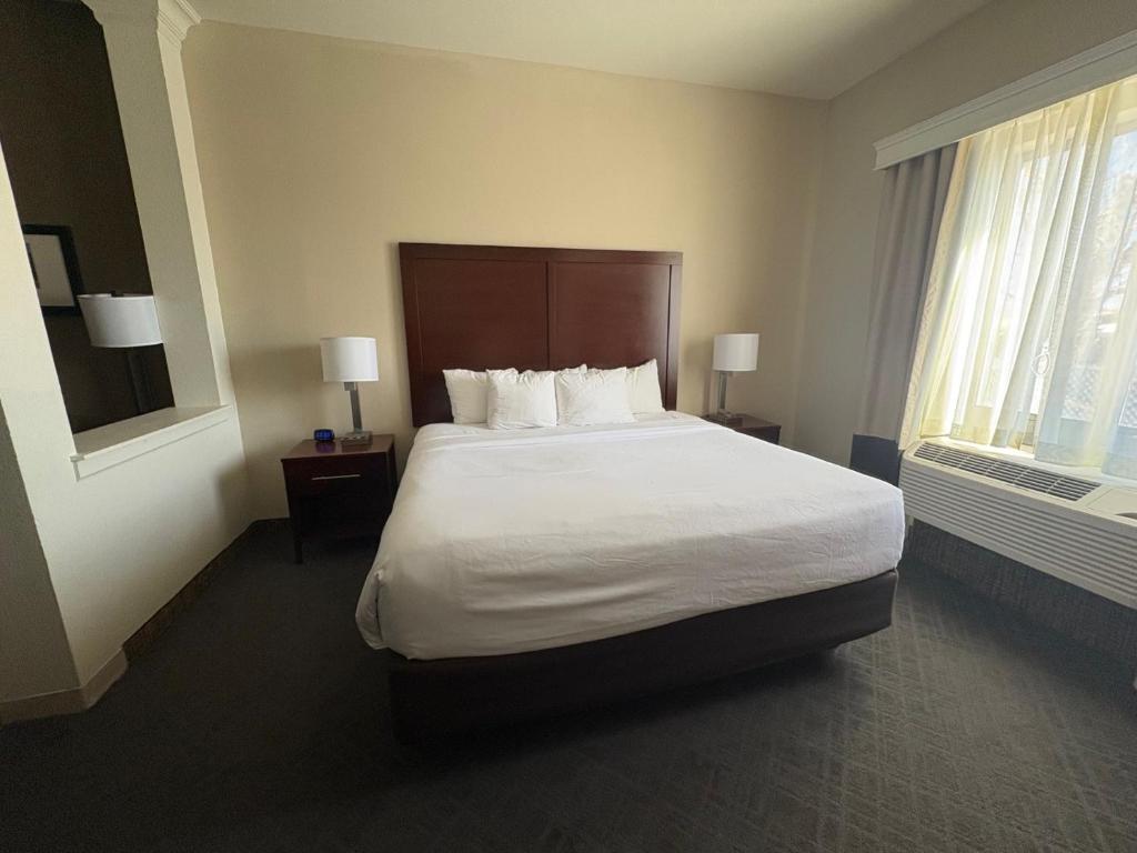 Comfort Suites Near Denver Downtown - 