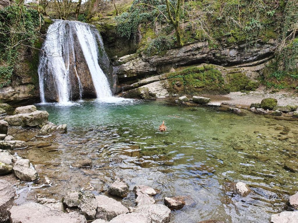una persona che nuota in una piscina di fronte a una cascata di Woodstock Cottage, Settle, Yorkshire Dales a Settle