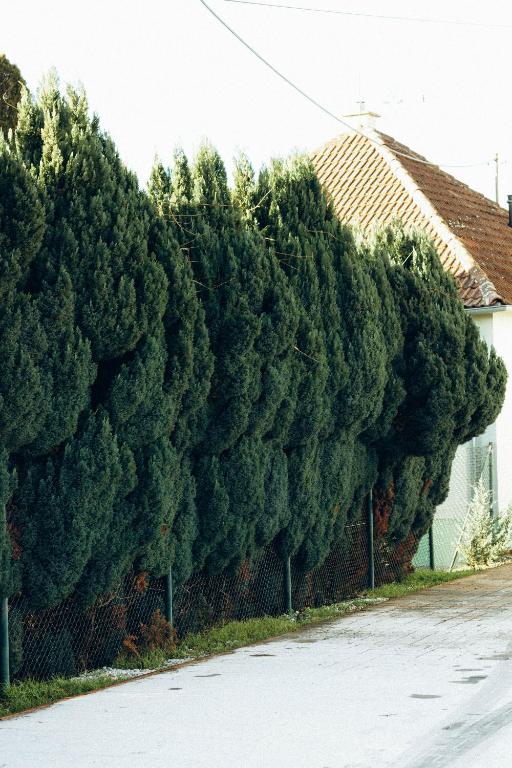 Fotografie z fotogalerie ubytování SergJuli Villa v destinaci Plavecký Štvrtok