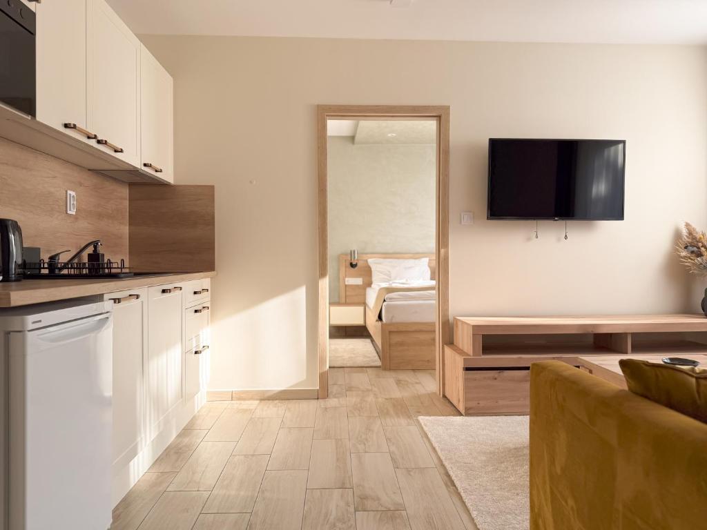 Kuchyň nebo kuchyňský kout v ubytování Viola Apartman