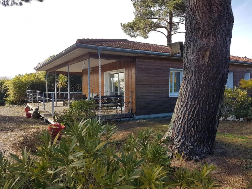 une petite maison avec une véranda et un arbre dans l'établissement Jolie maison de vacances proche lac, à La Teste-de-Buch