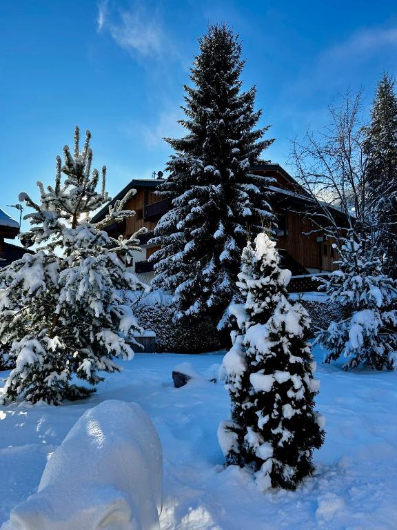 Hotel Bel'alpe v zimě