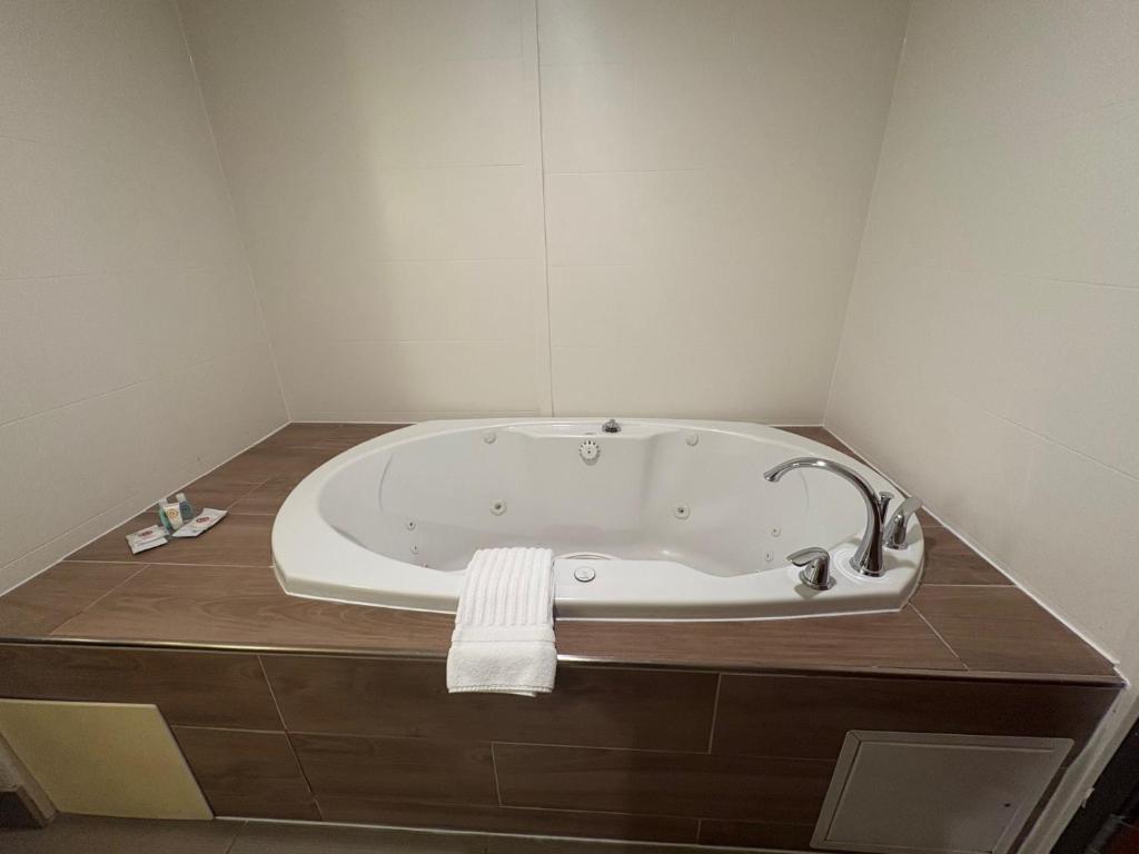 Comfort Suites Near Denver Downtown - 