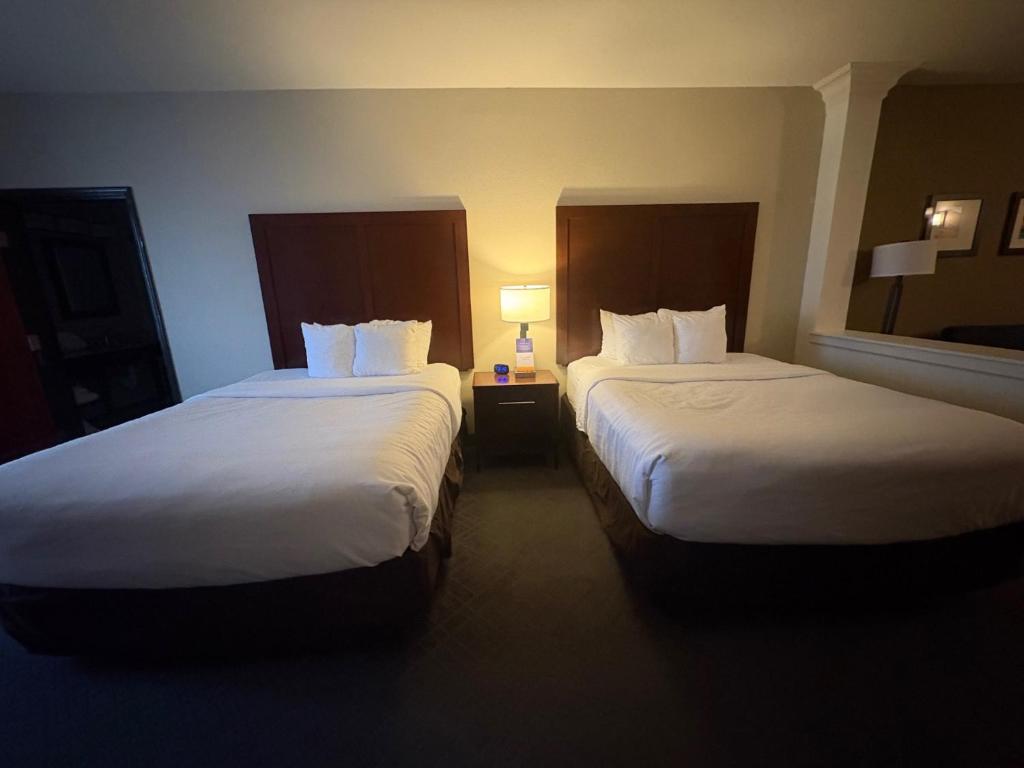 Comfort Suites Near Denver Downtown - 