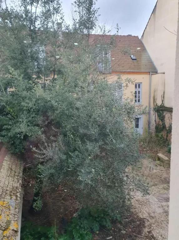 un grand arbre devant une maison dans l'établissement Appartement moderne à Limeil-Brévannes de 56 m² avec jardin, à Limeil-Brévannes