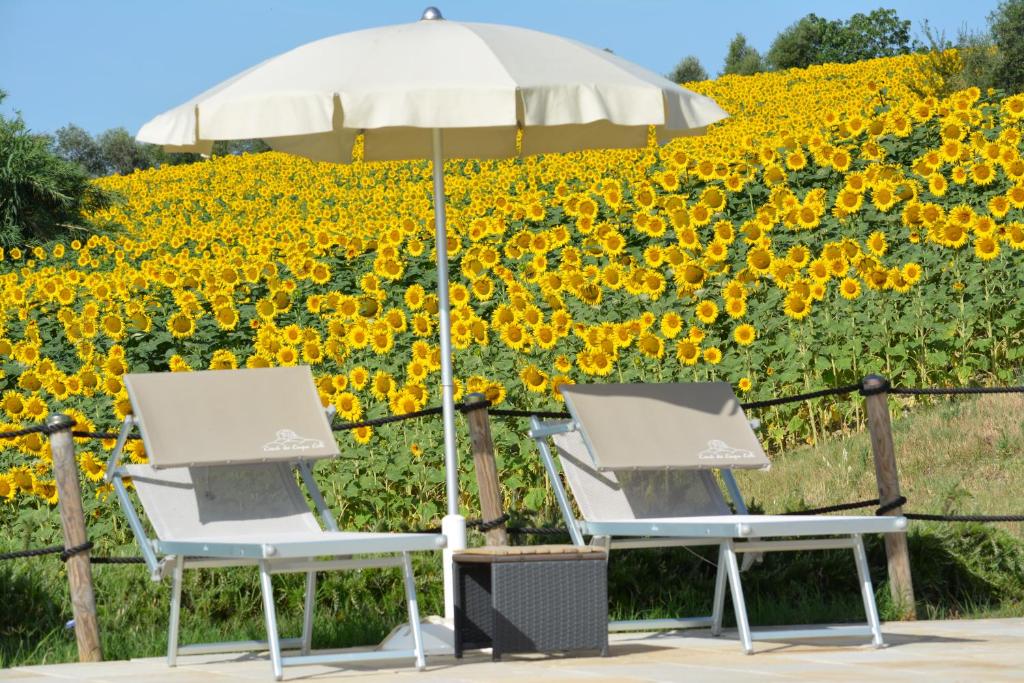 A garden outside Casale dei Cinque Colli