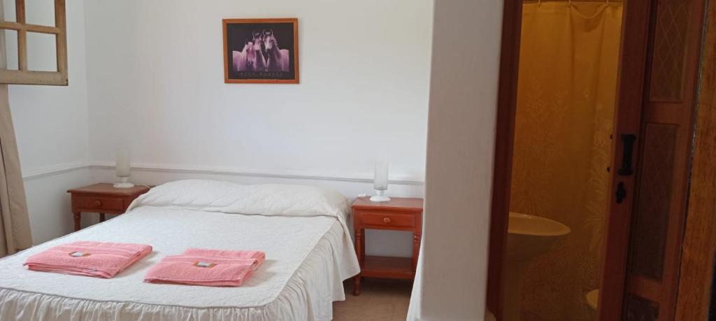 een slaapkamer met 2 roze handdoeken op een bed bij Luna Vallista in Cafayate