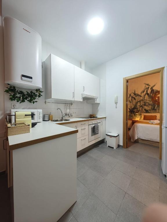 Kuchyň nebo kuchyňský kout v ubytování Apartamento del Mercado Little Apartments