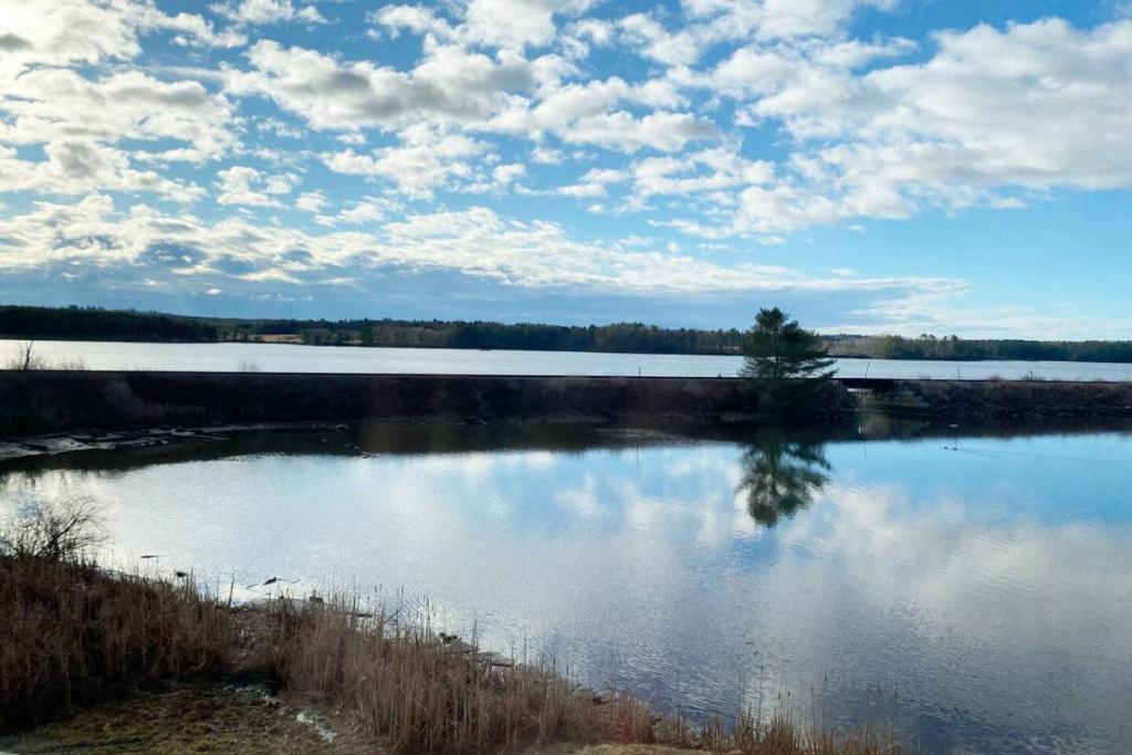 a lake with a tree in the middle of it at Peaceful Oasis by the Great Salt Bay 3BR 2Ba in Newcastle