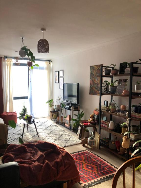 TV a/nebo společenská místnost v ubytování Double rooms in relaxing, plant- filled, artsy home!