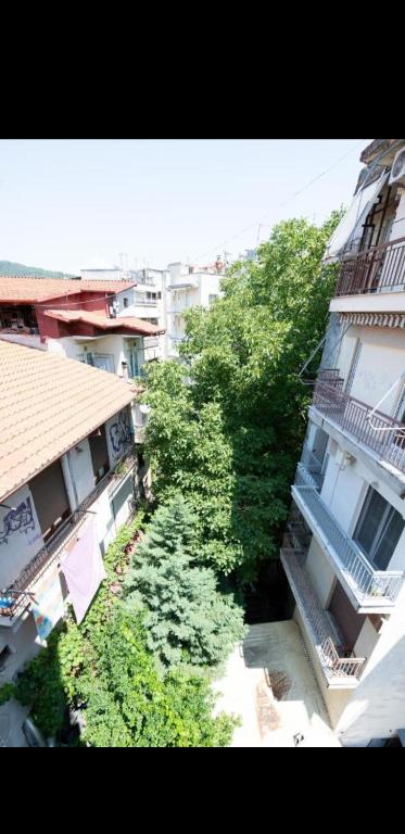 Pepper House Edessa - 1