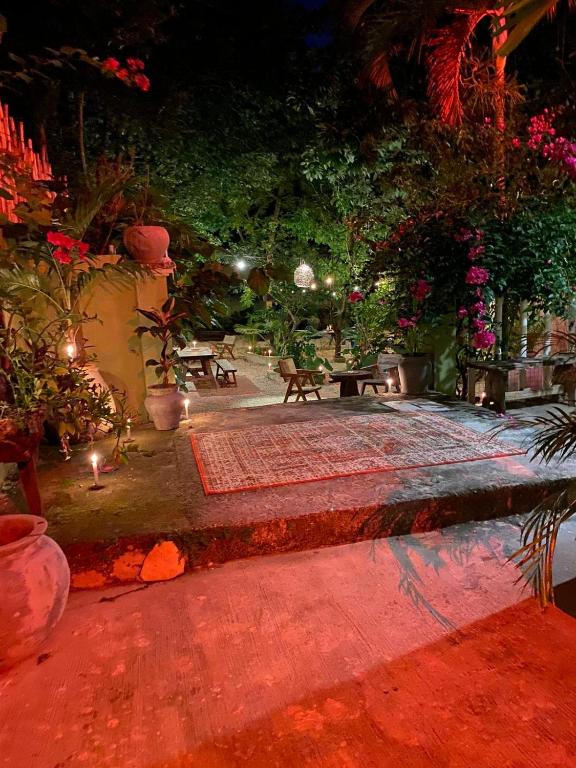 Zahrada ubytování Casa Sílice Guesthouse