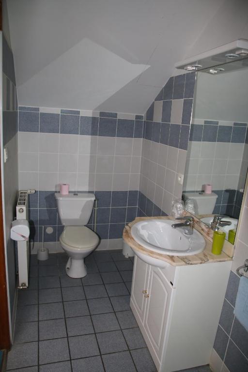 Un baño de Gite d'Etape Ascou La Forge