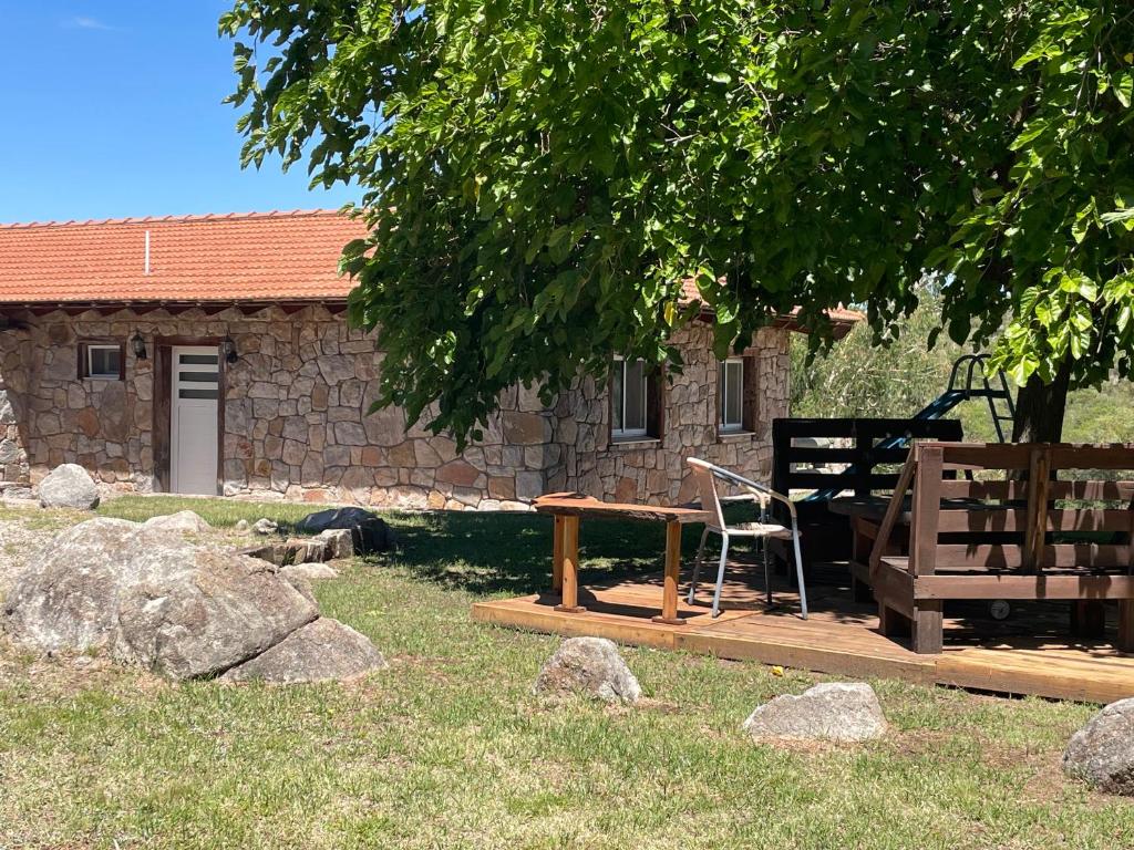 un tavolo in legno e una sedia posti sotto un albero di Campo la Sierra - El rincón alemán en San Luis a Volcán