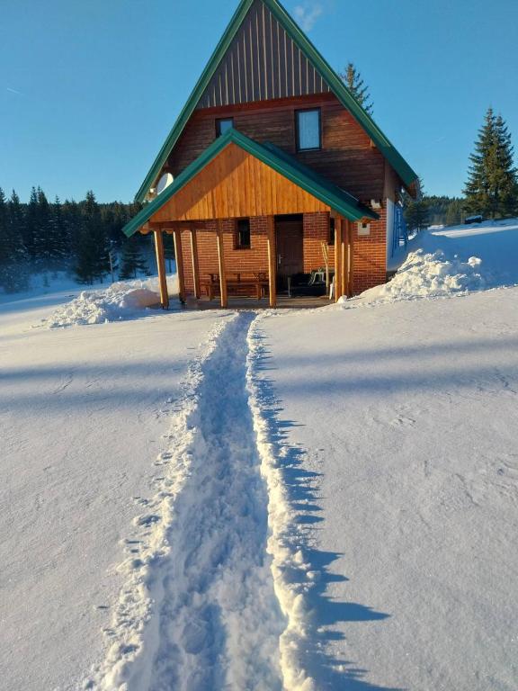 冬天的House in forest