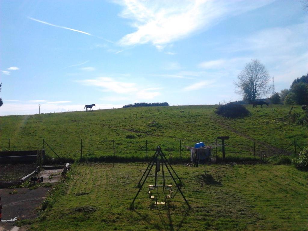 Zahrada ubytování Gîte BELLA