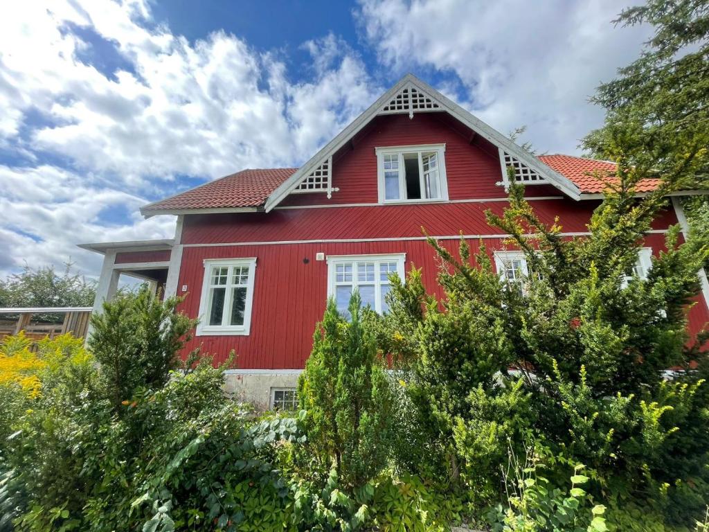 Zahrada ubytování Outintic House