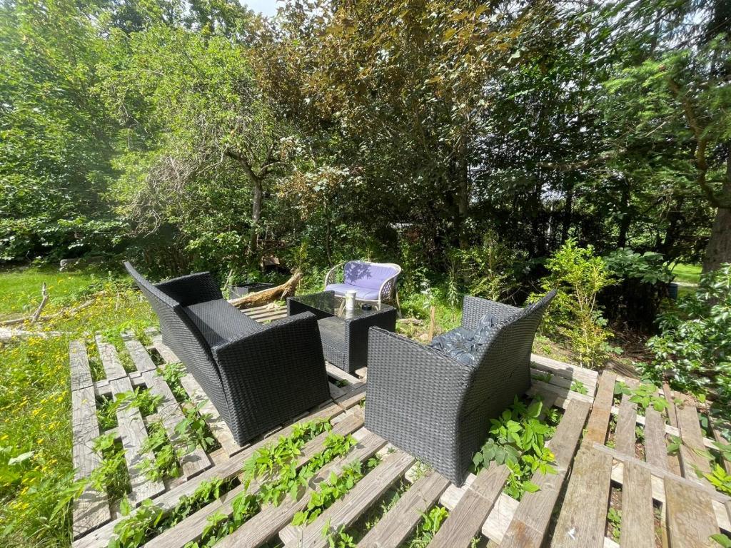 Zahrada ubytování Outintic House
