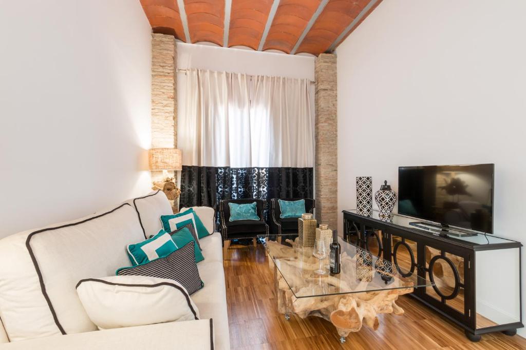 TV a/nebo společenská místnost v ubytování BiBo Suites Oro del Darro