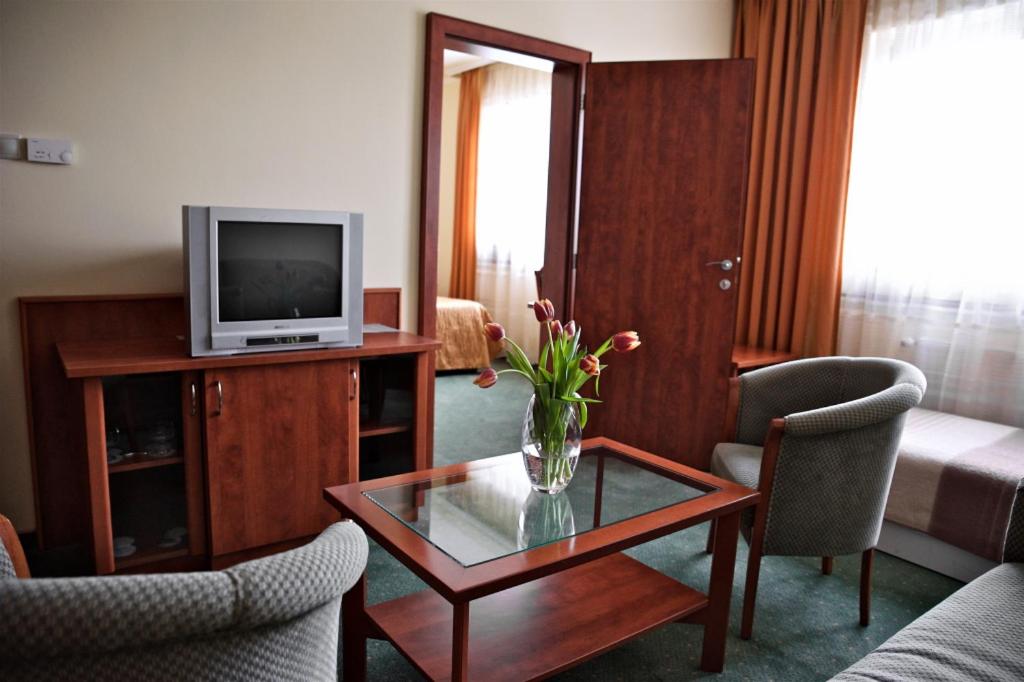 TV a/nebo společenská místnost v ubytování Hotel Lukács Superior