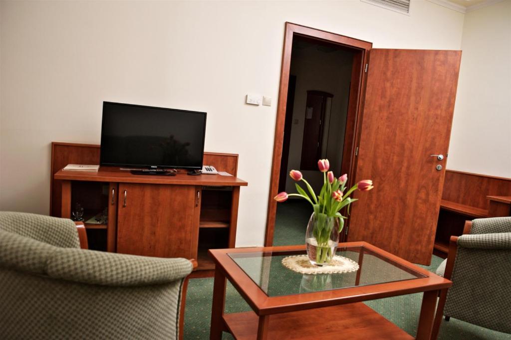 TV a/nebo společenská místnost v ubytování Hotel Lukács Superior