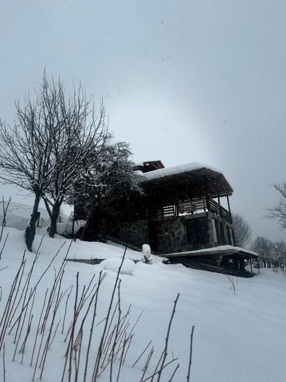 Villa Dabderr Mestia v zimě