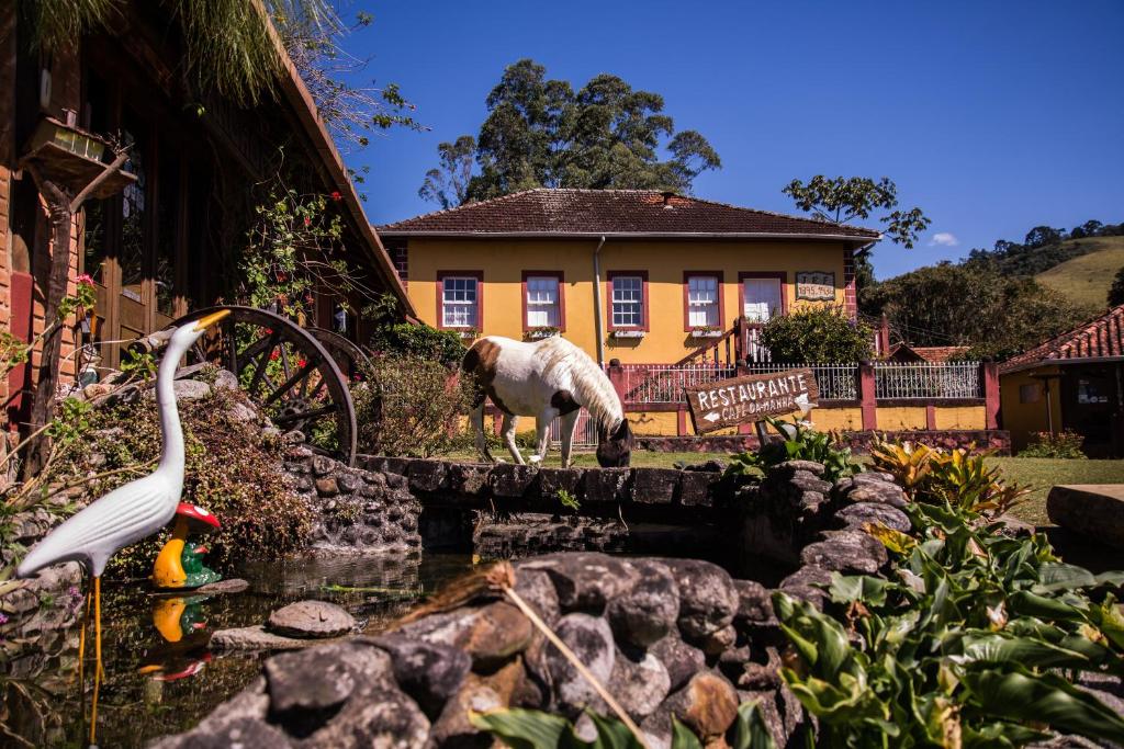 Eine Katze steht neben einem Teich vor einem Haus in der Unterkunft Pousada Fazenda Rio das Pedras in Visconde De Maua