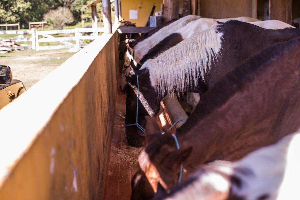  Pousada Fazenda Rio das Pedras