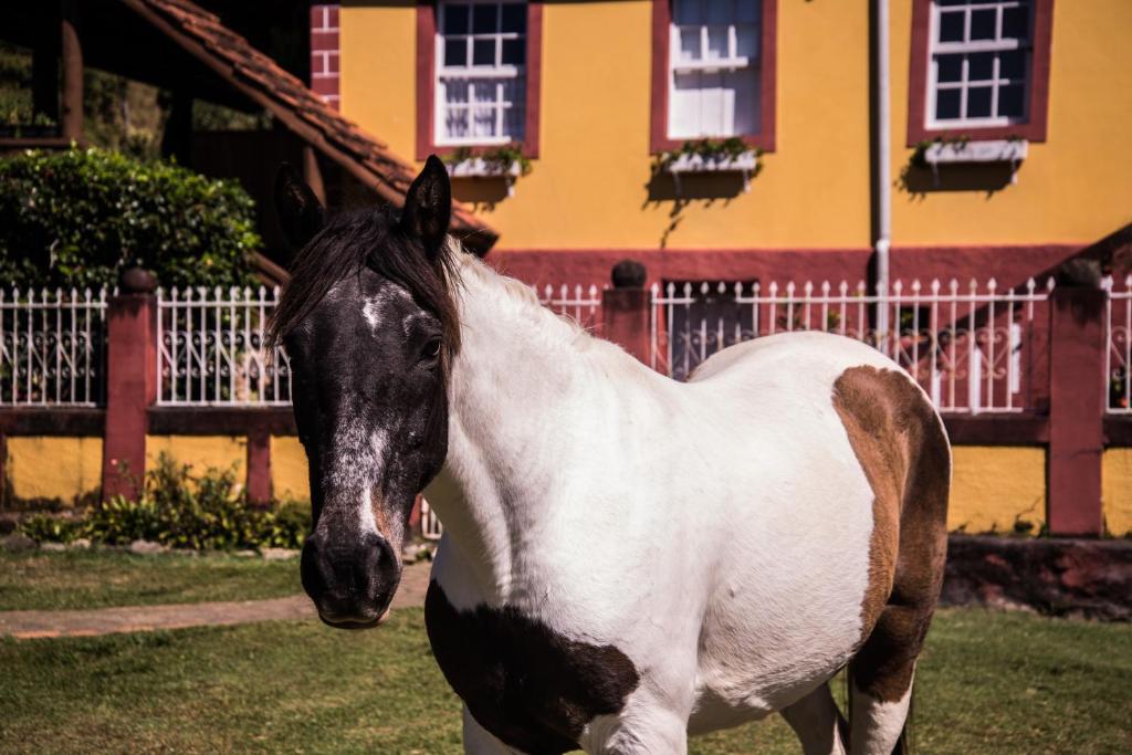  Pousada Fazenda Rio das Pedras