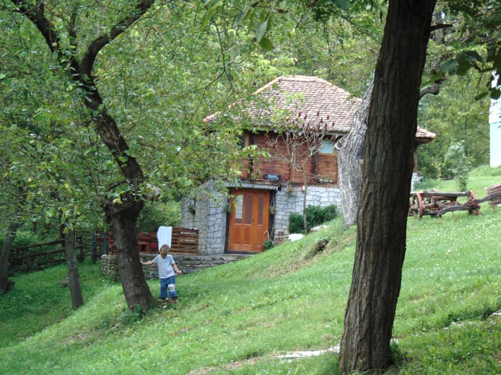 Zahrada ubytování Ethno Village Slatkovac
