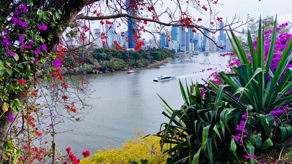 cliffinn kangaroo point - Resim 41