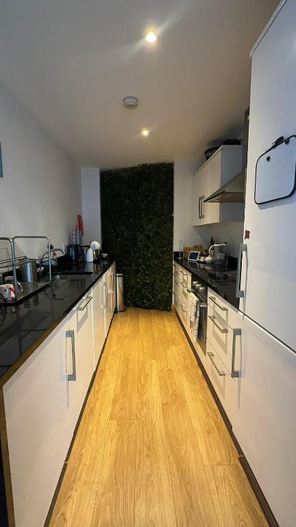 Kuchyň nebo kuchyňský kout v ubytování Liffey Three Arena Room