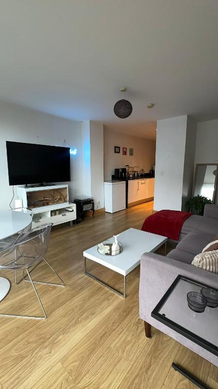 TV a/nebo společenská místnost v ubytování Liffey Three Arena Room