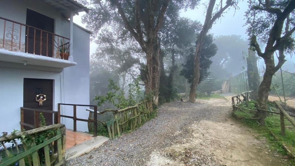 Paisaje cerca de este apartamento