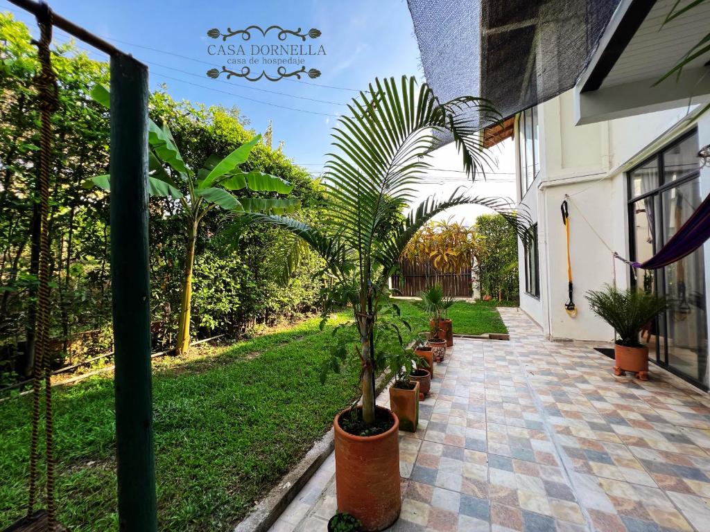 Zahrada ubytování Casa Dornella - Casa de Hospedaje