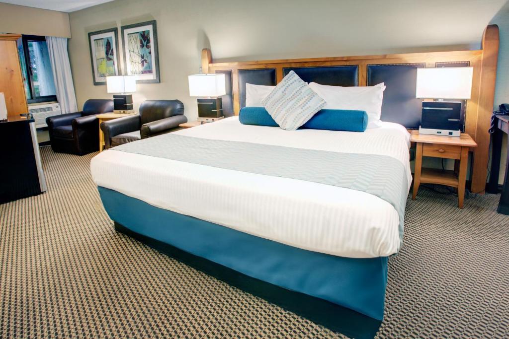 Blackcomb Lodge - 