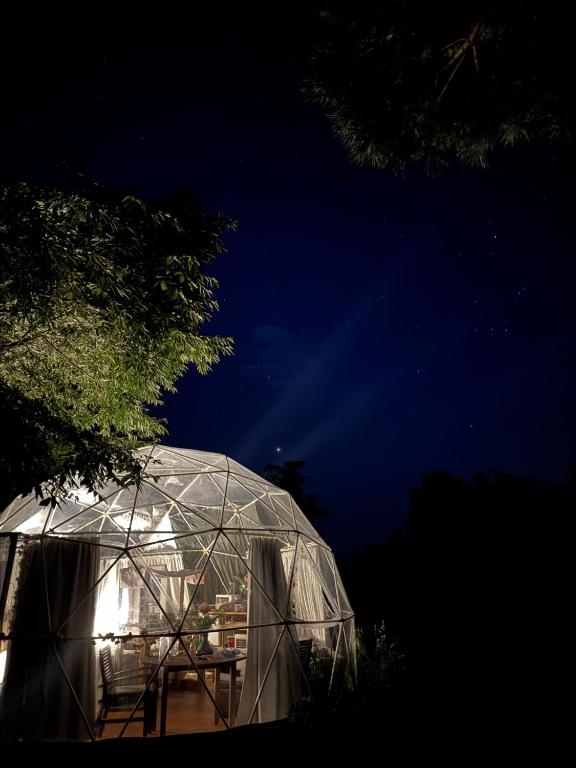 Flowerhaven - glamping dome - Resim 9