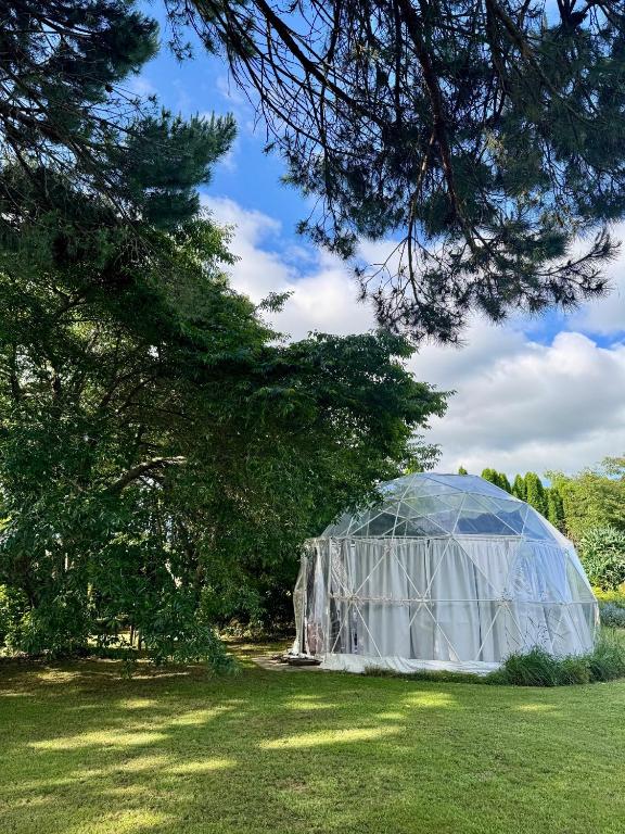 Zahrada ubytování Flowerhaven - glamping dome