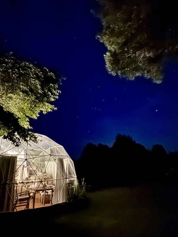 Fotografie z fotogalerie ubytování Flowerhaven - glamping dome v destinaci Hamilton