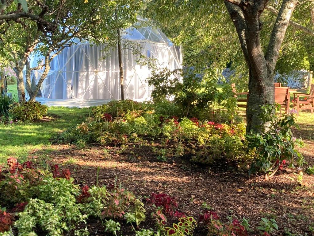 Zahrada ubytování Flowerhaven - glamping dome