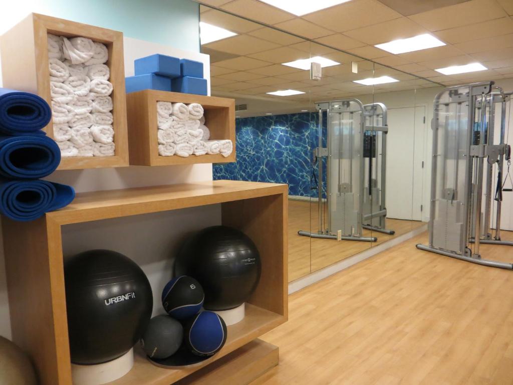 Fitness centrum a/nebo fitness zařízení v ubytování The Platinum Hotel